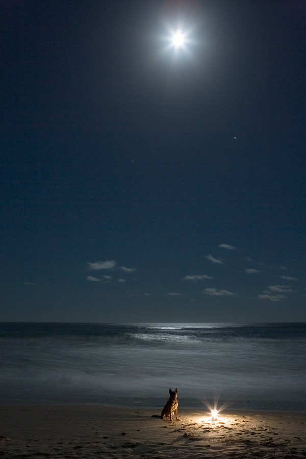 Christmas at New Brighton